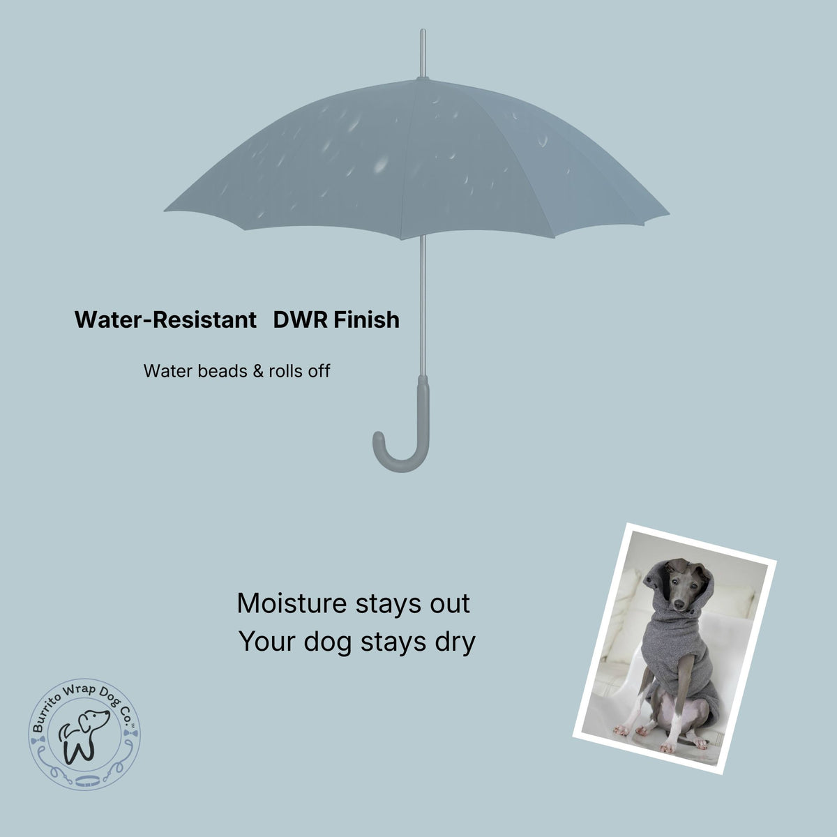 Umbrella with text about water-resistant finish and a dog wearing a gray sweater on a light blue background.